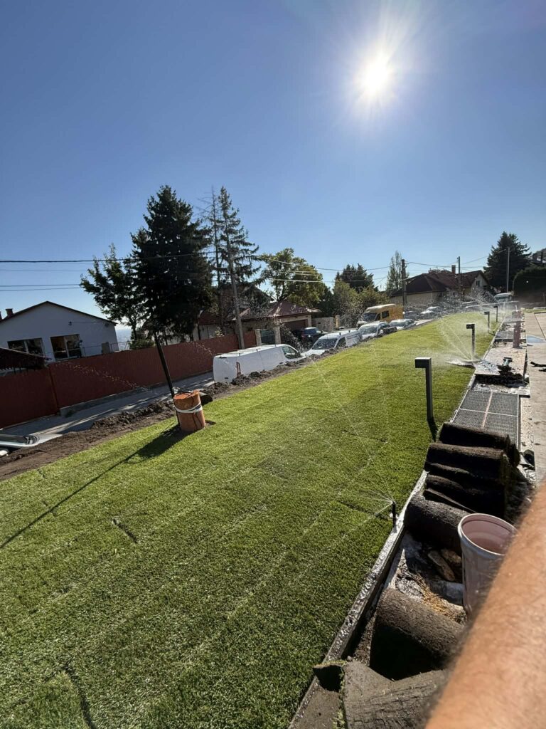 c161aea0 be45 4e83 94ef 4a292637ceda