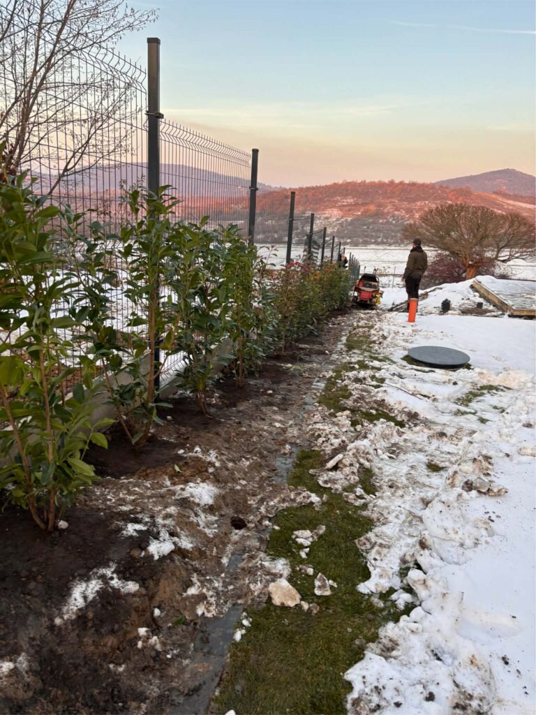 cdcac33e 2836 4bb1 9b31 d1efa3c92f8a